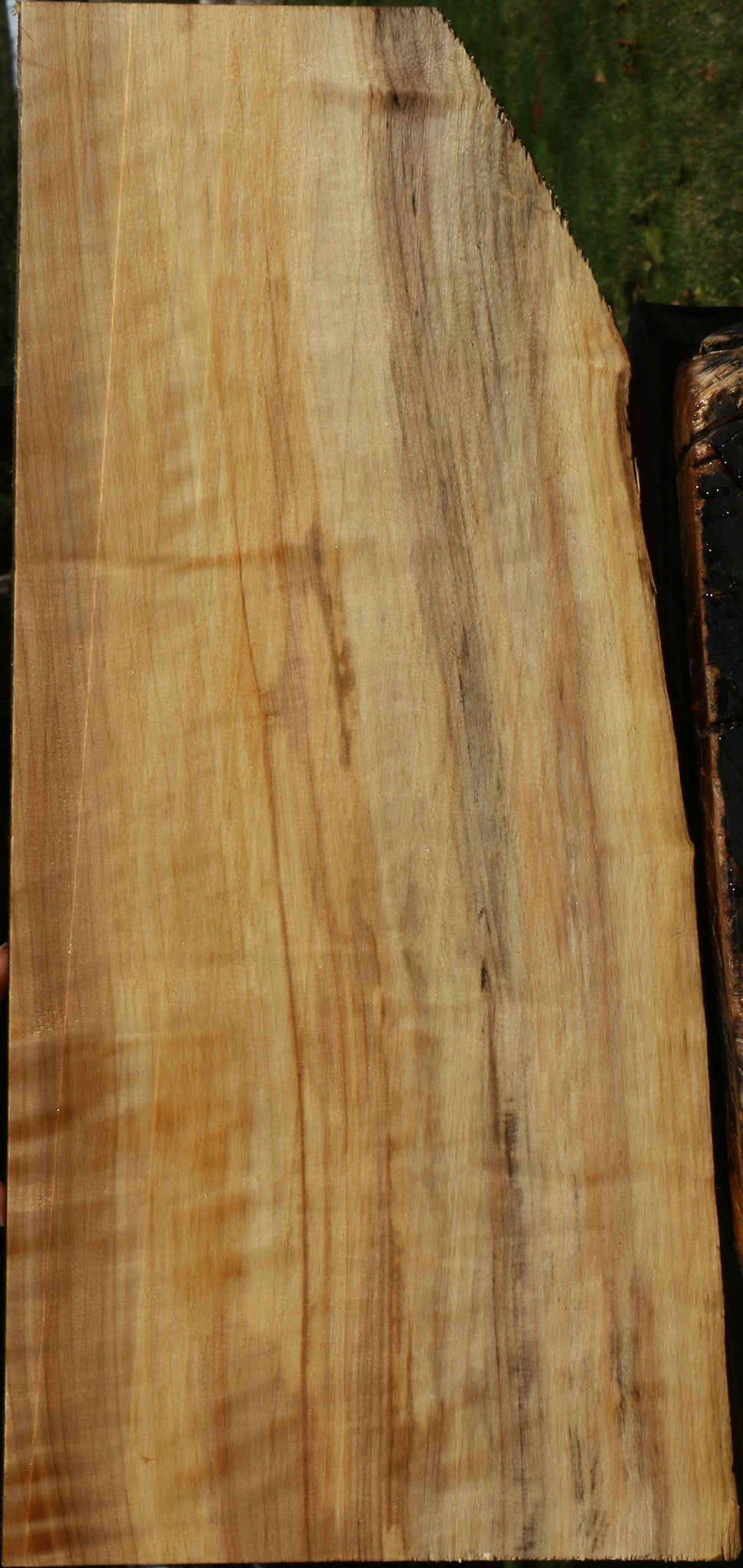 Figured Black Cottonwood Live Edge Lumber