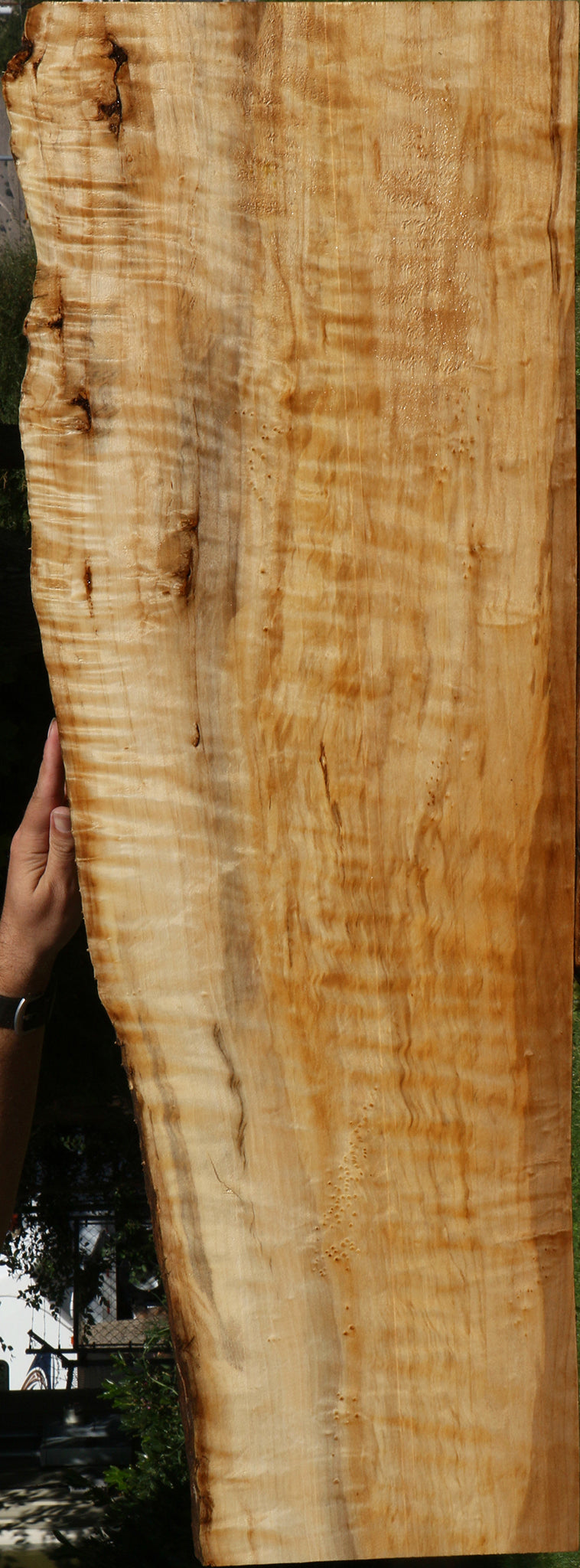 Extra Fancy Black Cottonwood Live Edge Lumber