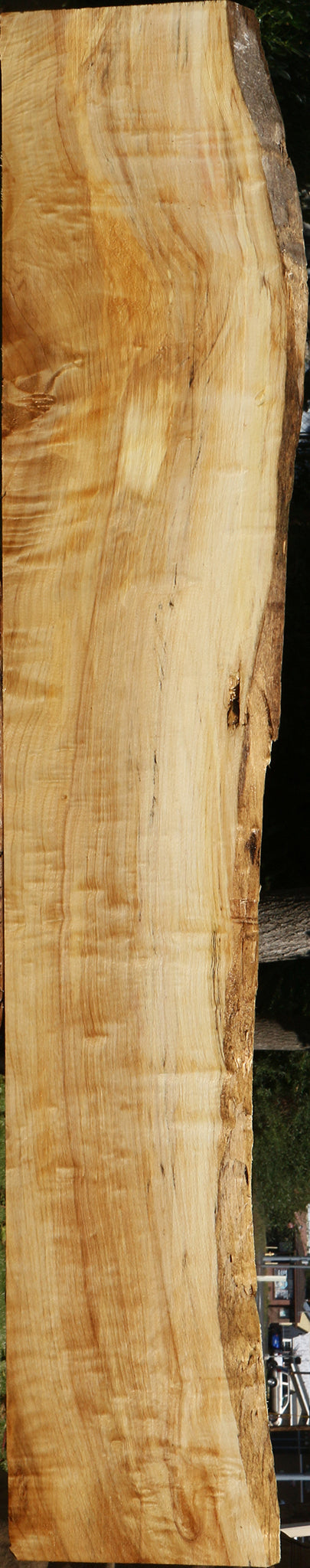 Extra Fancy Black Cottonwood Live Edge Lumber