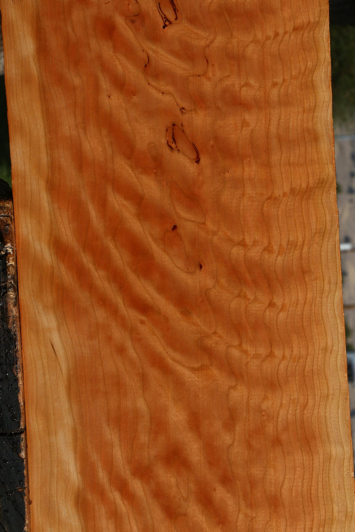 Extra Fancy Cherry Lumber