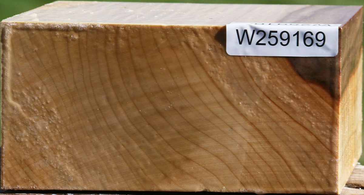 Silver Maple Bowl Blank