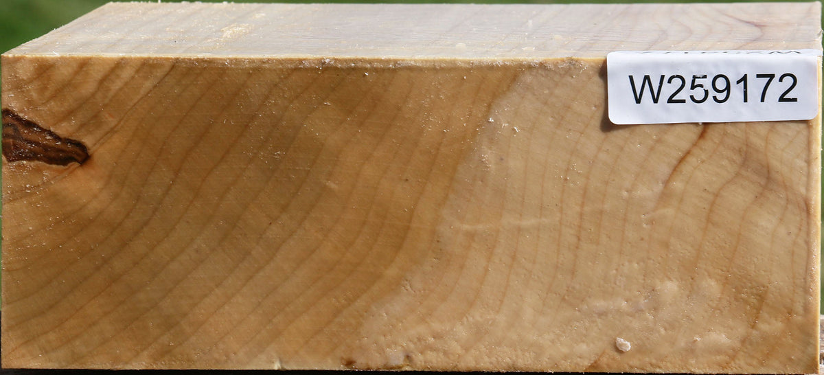 Silver Maple Bowl Blank