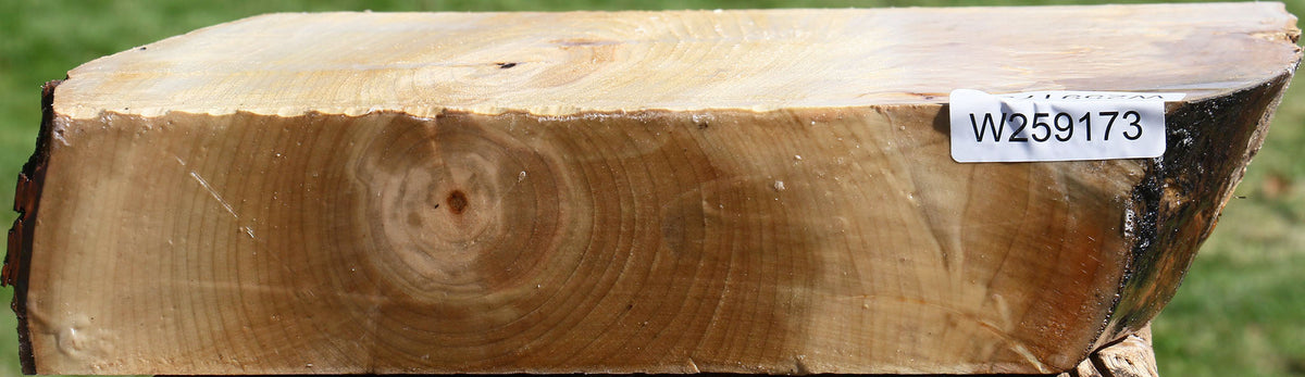 Figured Silver Maple Live Edge Bowl Blank