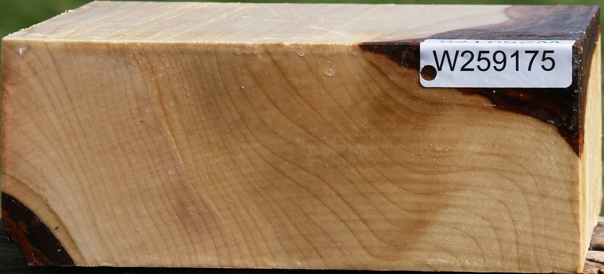 Silver Maple Bowl Blank