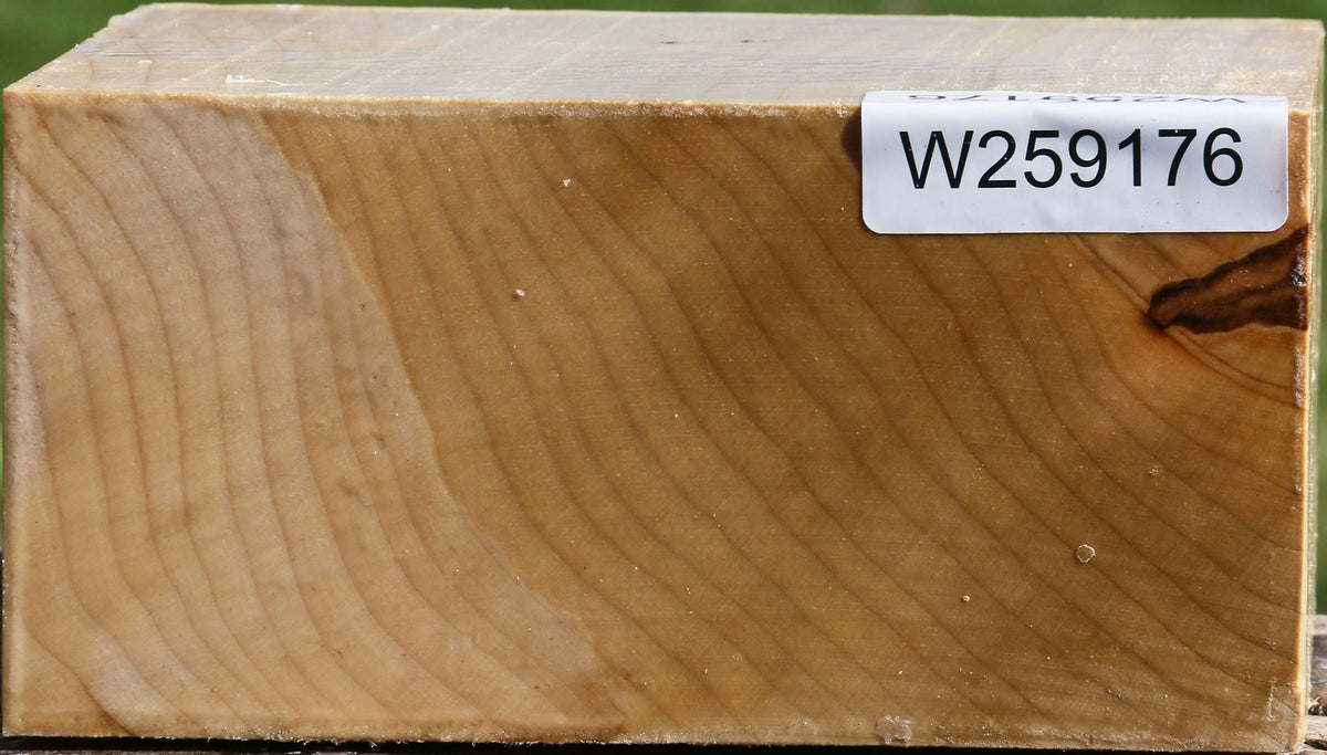 Silver Maple Bowl Blank