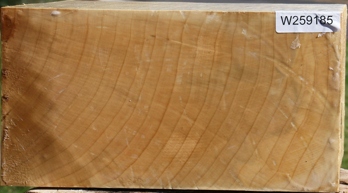 Figured Quartersawn Silver Maple Bowl Blank