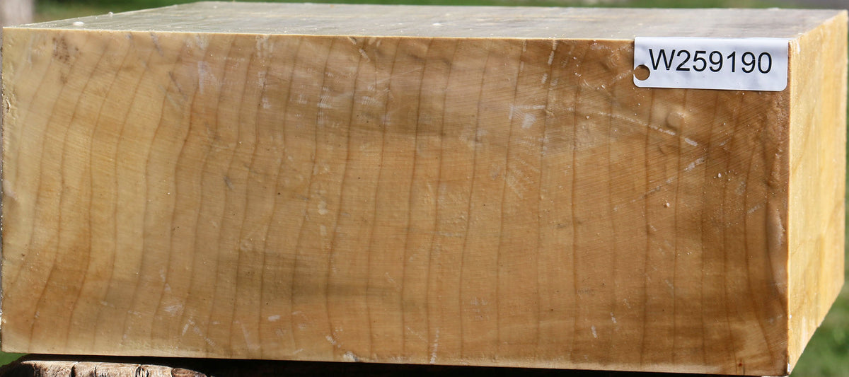 Figured Quartersawn Silver Maple Bowl Blank