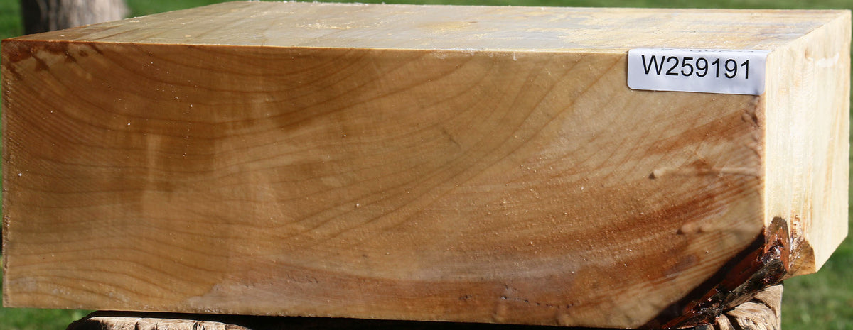 Figured Silver Maple Bowl Blank