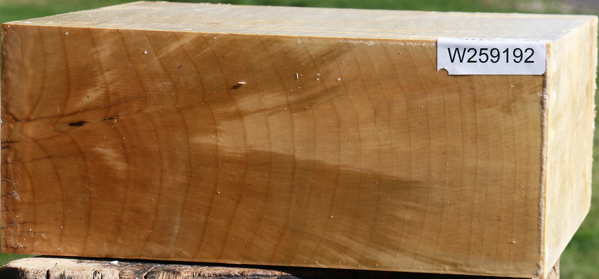 Quartersawn Silver Maple Bowl Blank