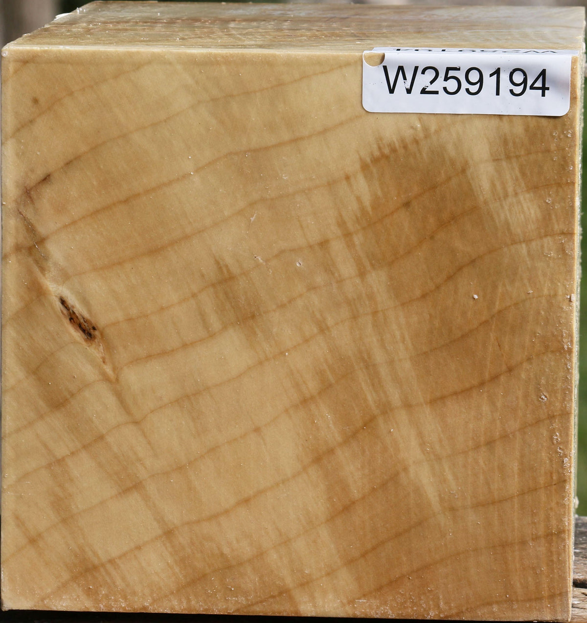 Figured Silver Maple Vessel Blank