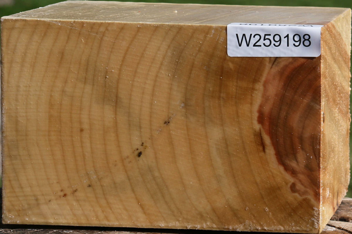 Silver Maple Bowl Blank
