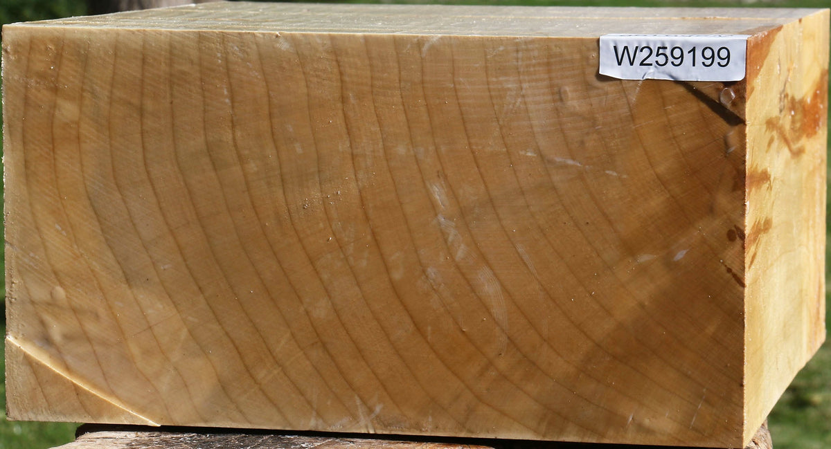 Silver Maple Bowl Blank