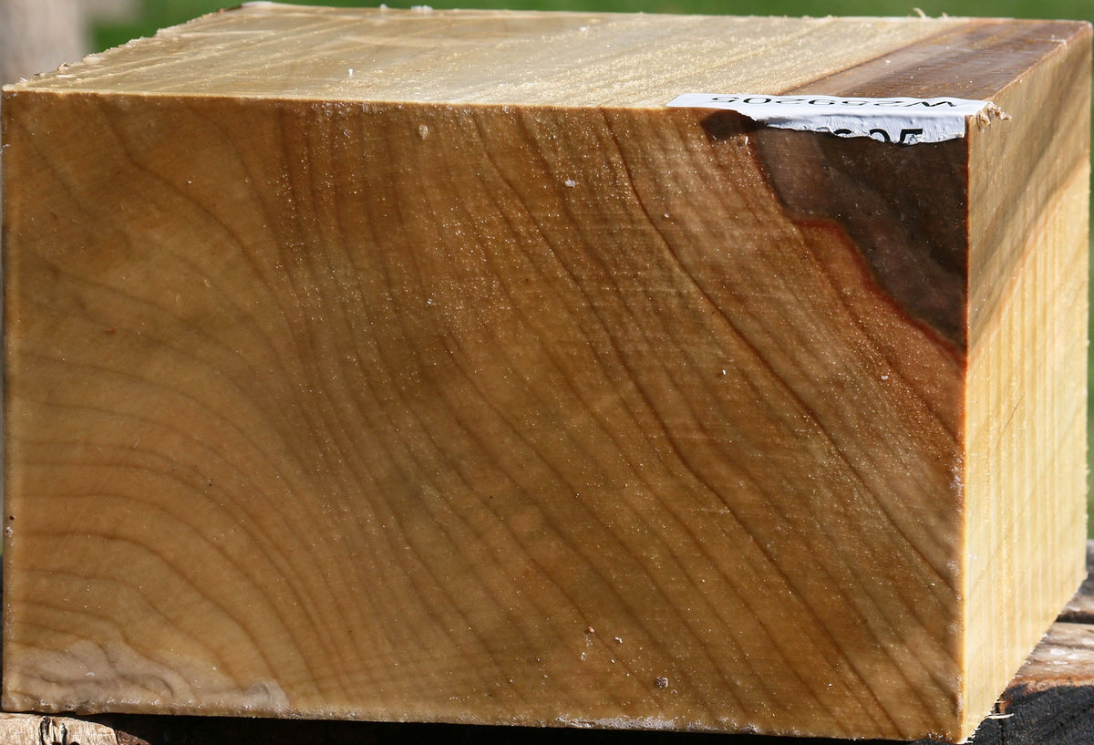 Silver Maple Bowl Blank
