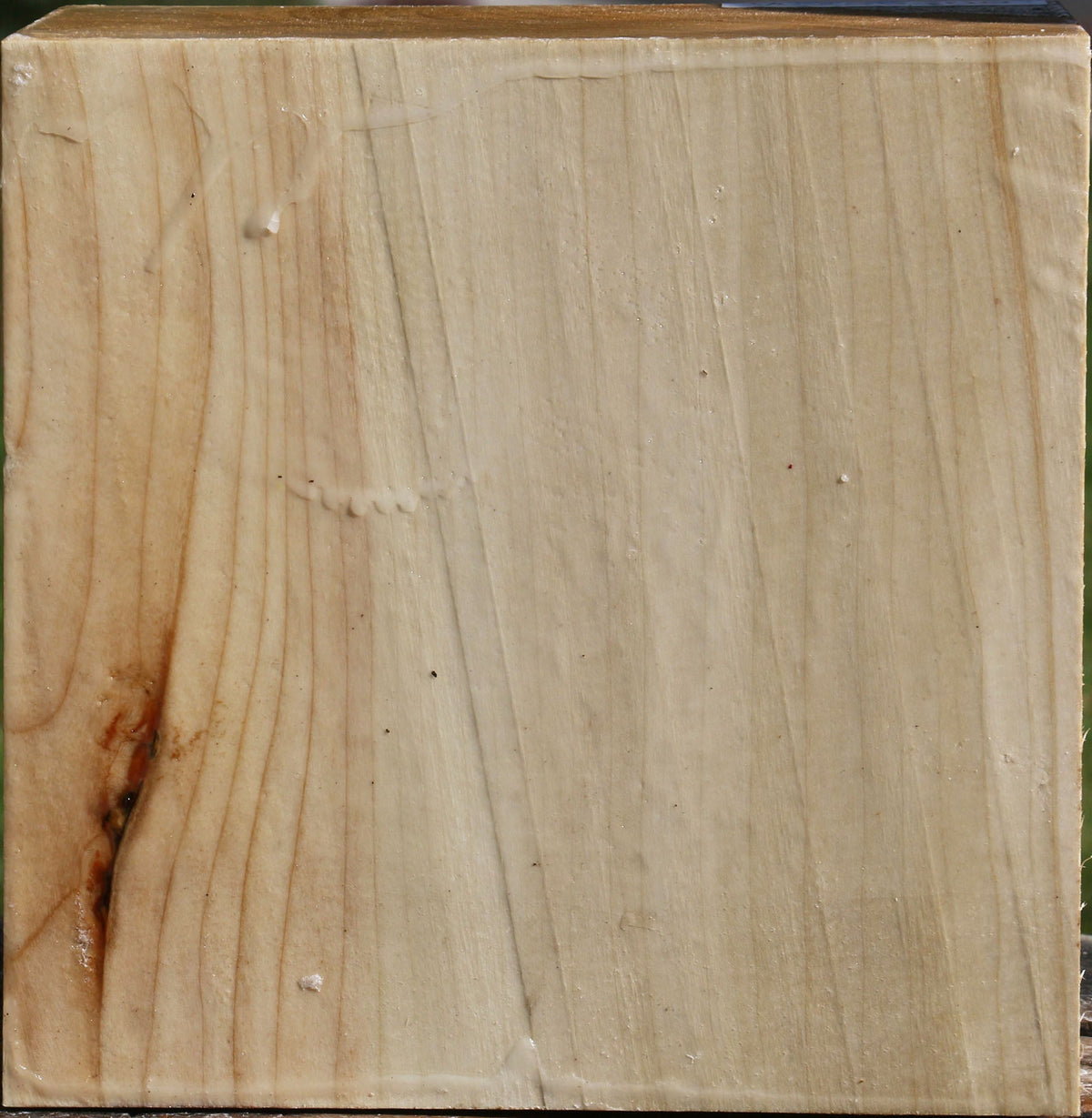 Silver Maple Bowl Blank