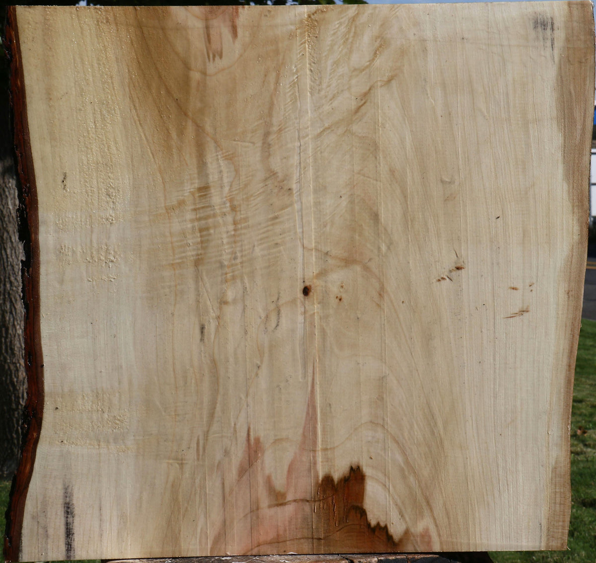 Figured Silver Maple Live Edge Platter Blank