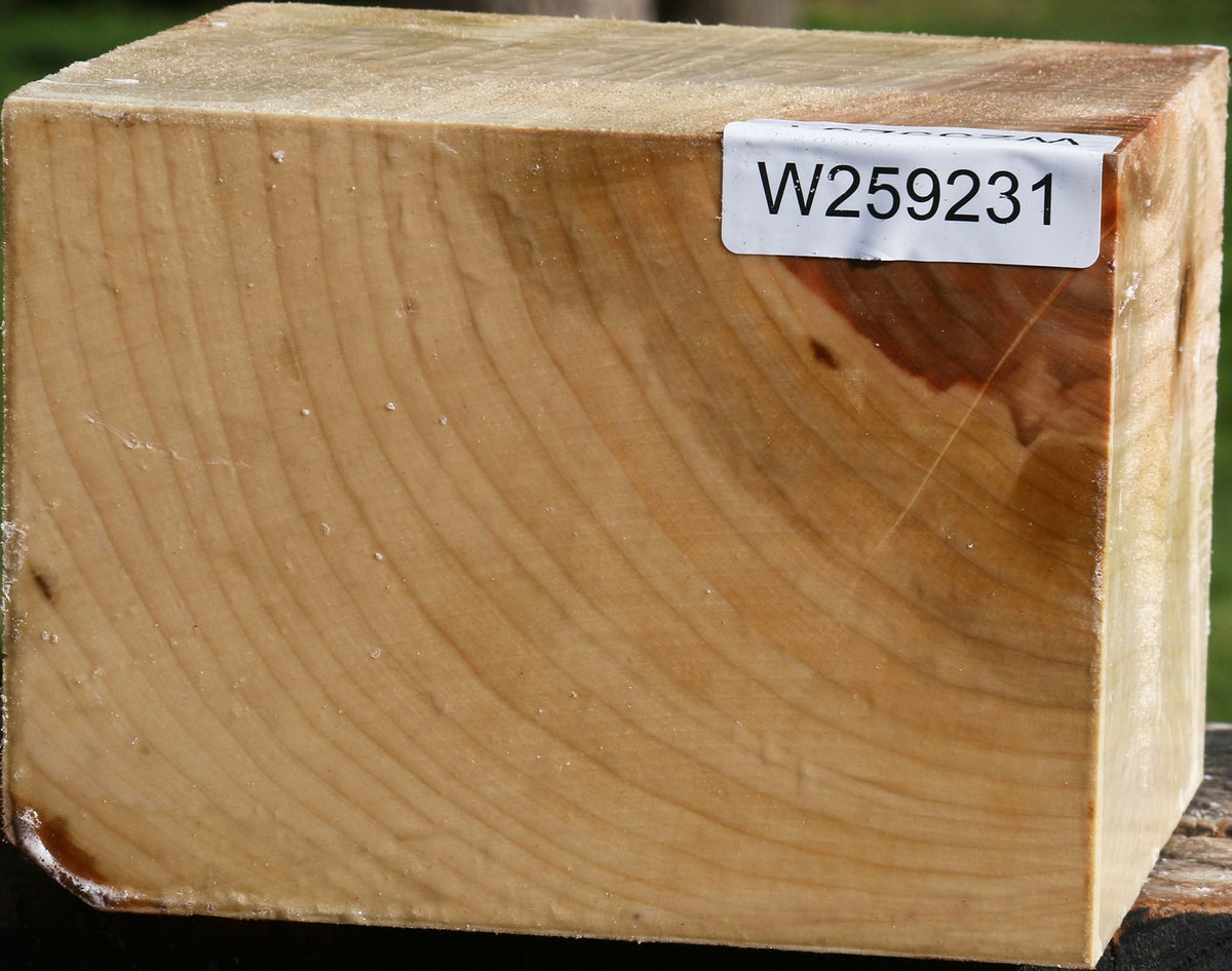 Silver Maple Bowl Blank