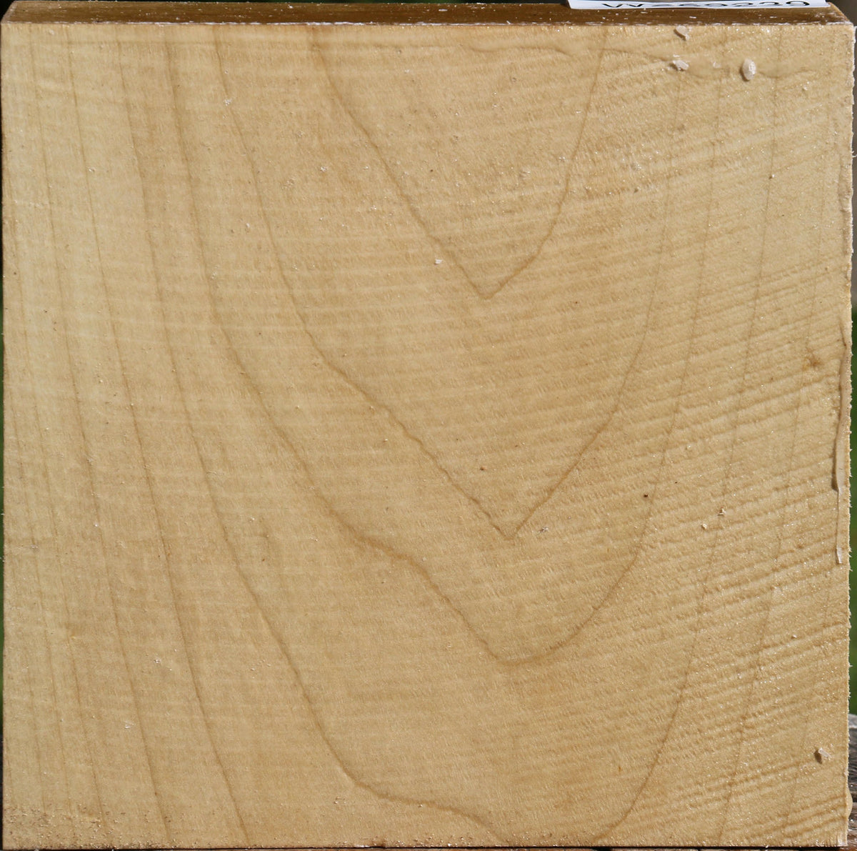 Silver Maple Bowl Blank
