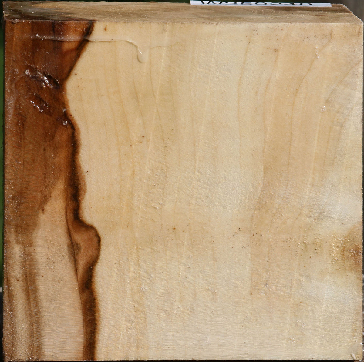 Silver Maple Bowl Blank