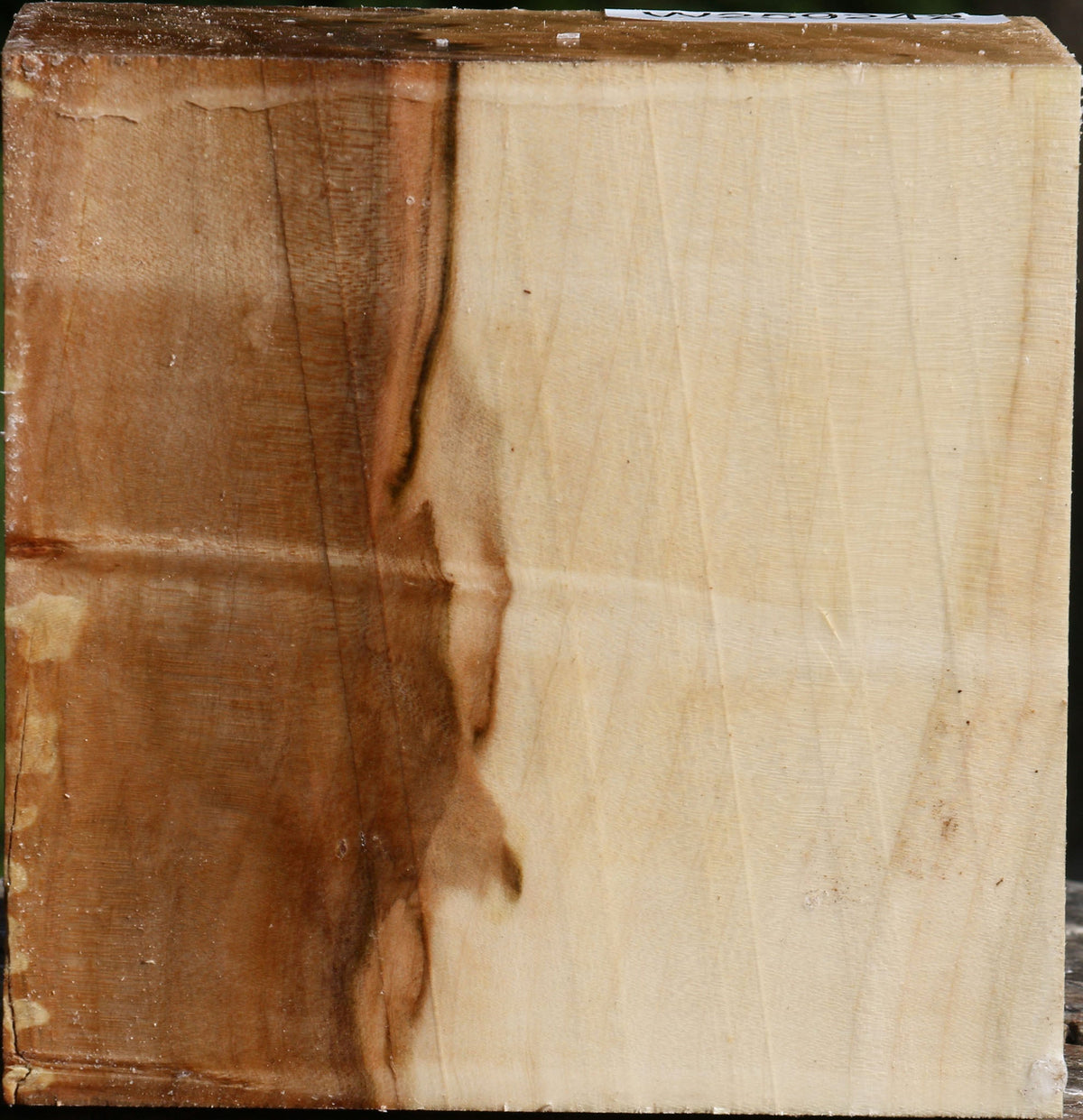 Figured Silver Maple Bowl Blank