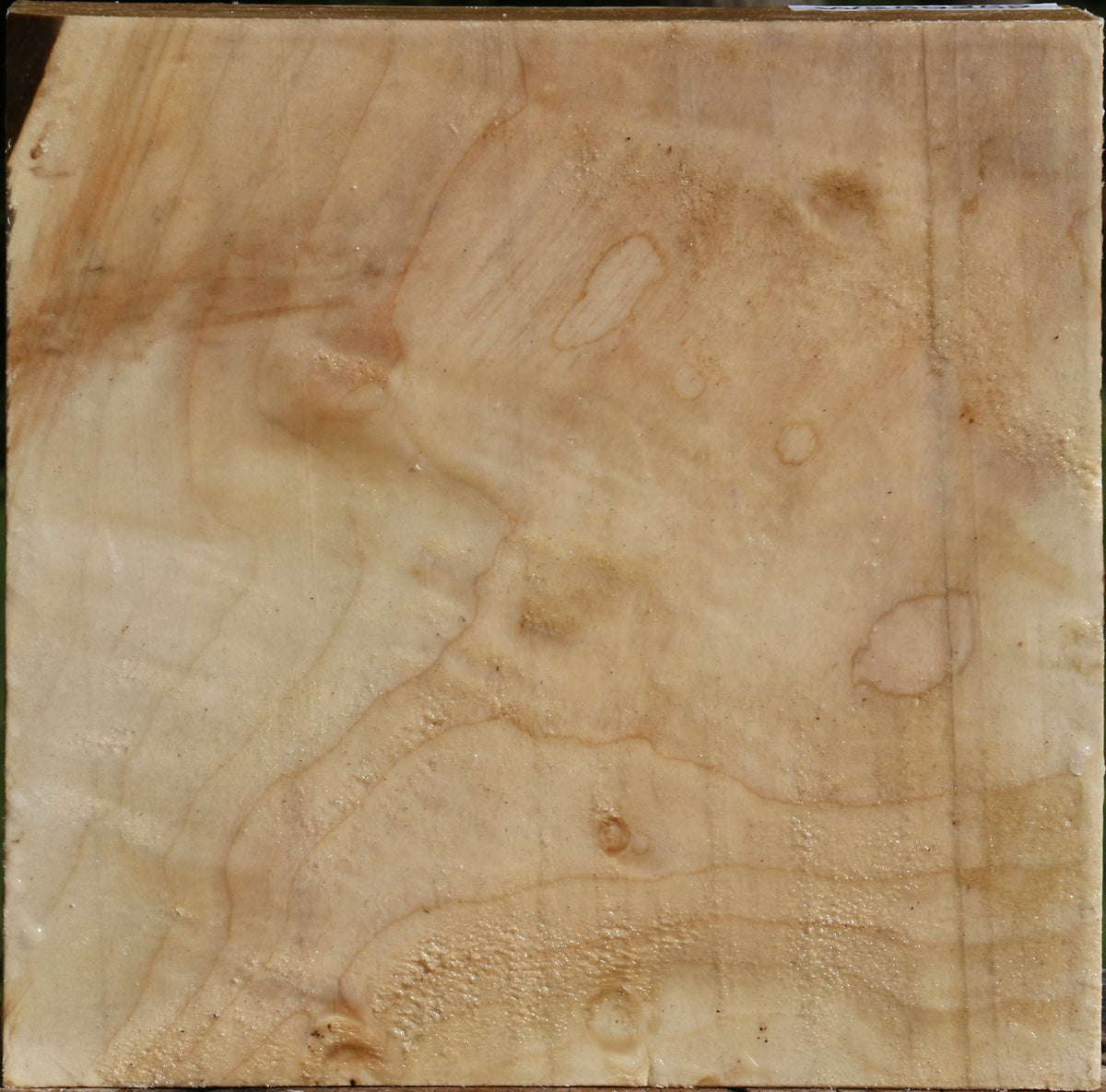 Figured Silver Maple Bowl Blank