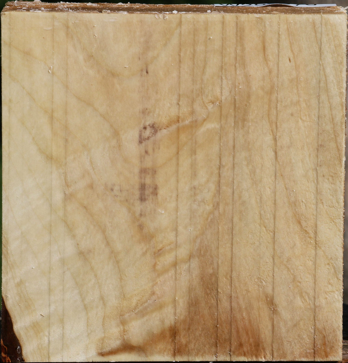 Figured Silver Maple Bowl Blank