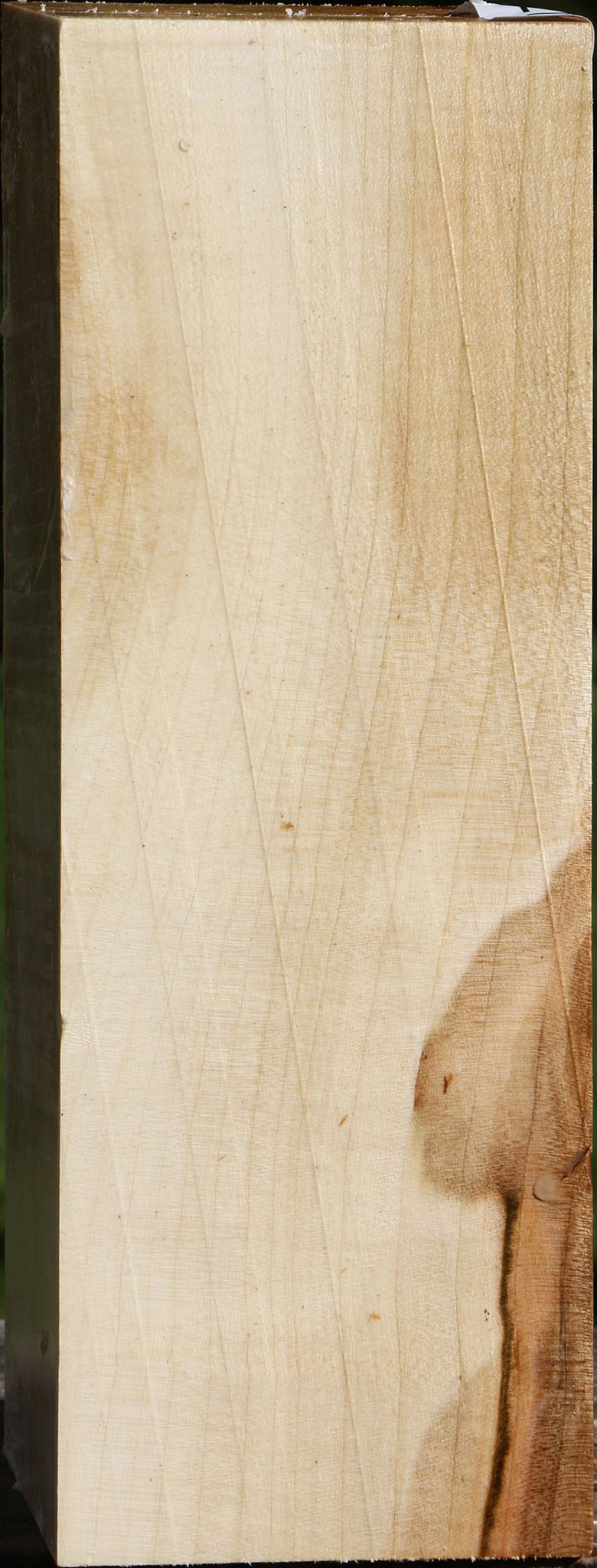 Silver Maple Vessel Blank