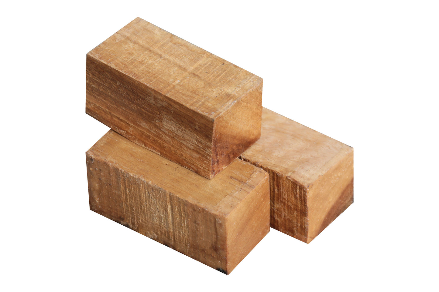 Australian Eucalyptus Bottle Stopper (3" x 1-1/2" x 1-1/2")