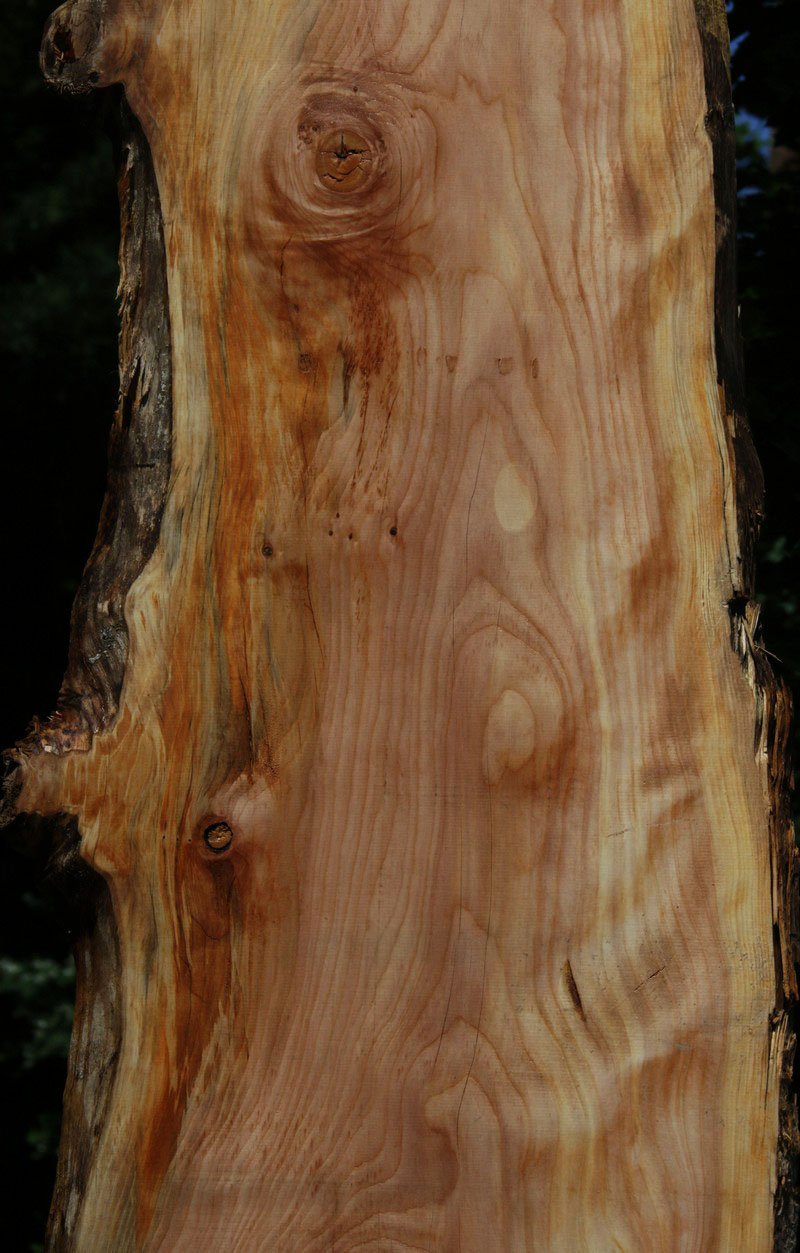 Figured Sitka Spruce Slab