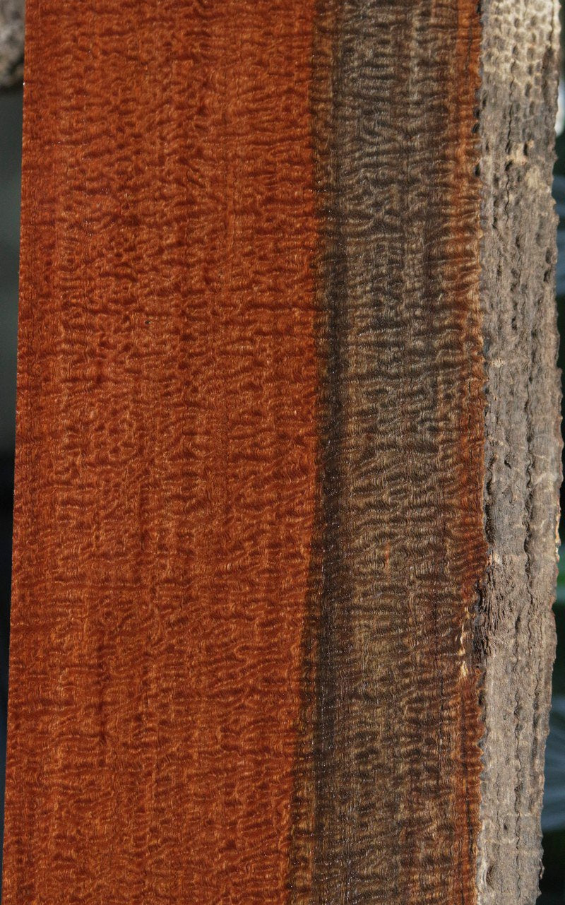 Rustic Museum Grade Pomelle Sapele Live Edge Lumber