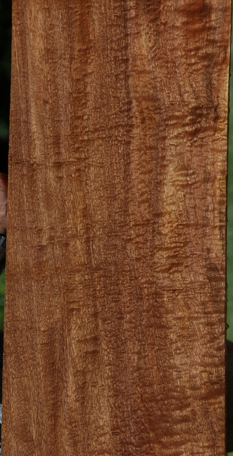 XF Pomelle Sapele Lumber