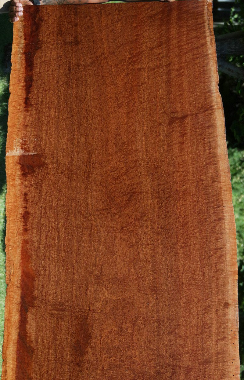 Exhibition Grade Pomelle Sapele Slab