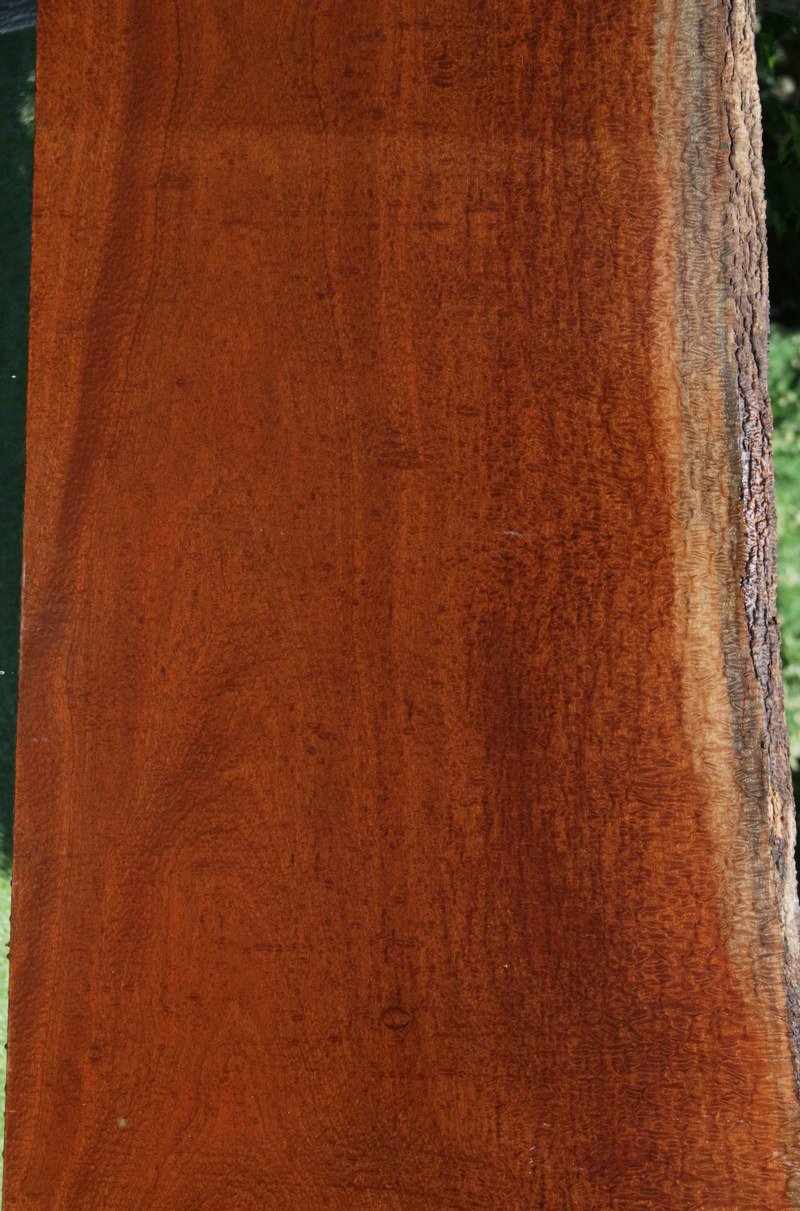 Exhibition Grade Pomelle Sapele Slab