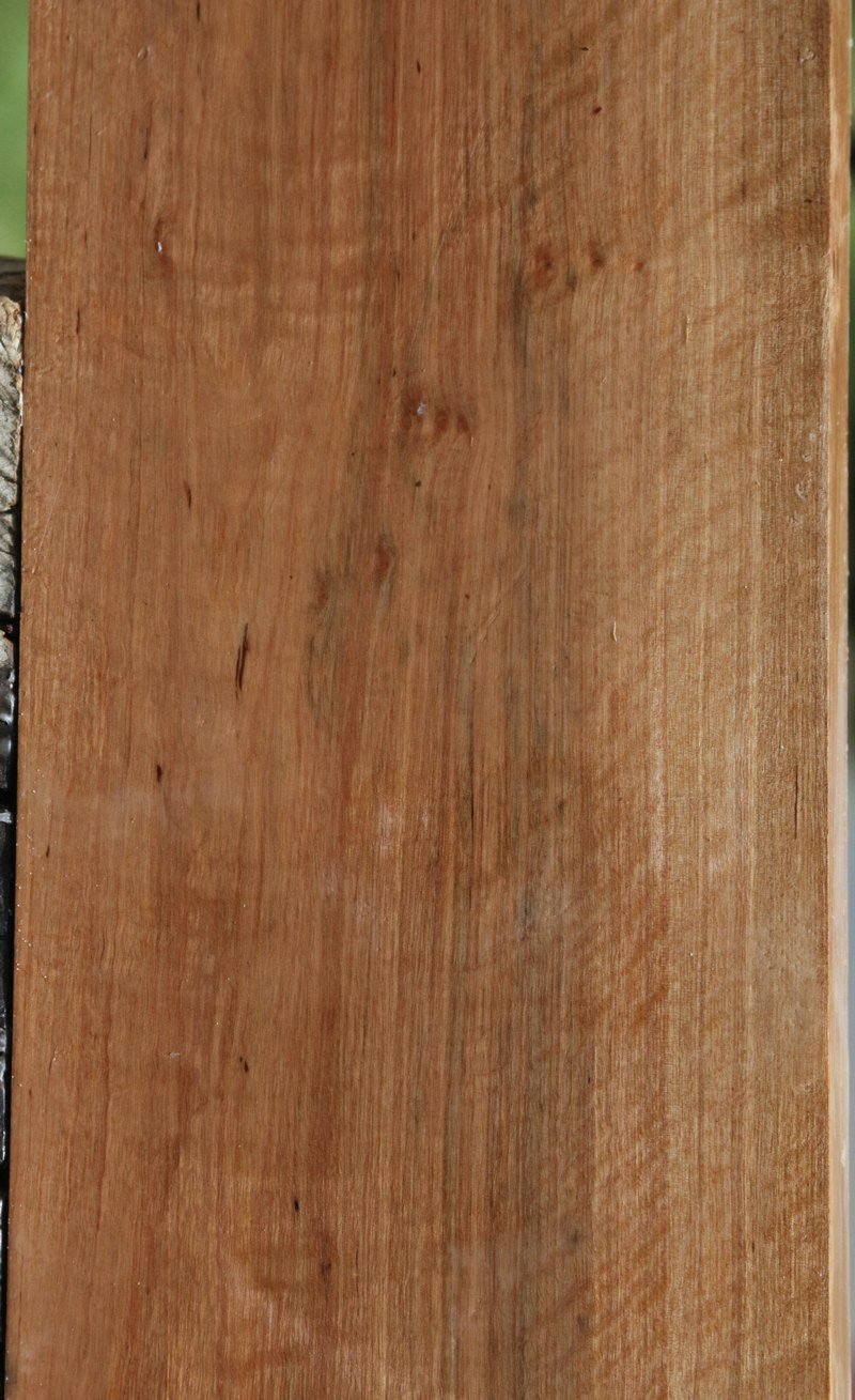 XF Curly Asian Satinwood Lumber