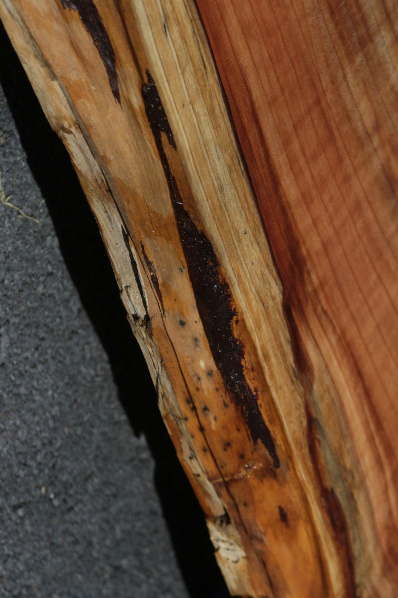 Redwood Slab