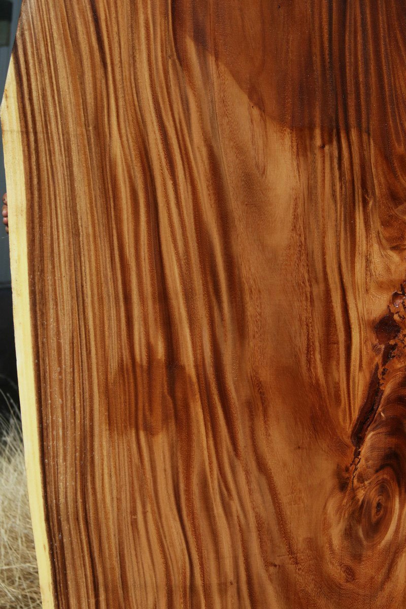 Monkeypod Crotchwood Slab