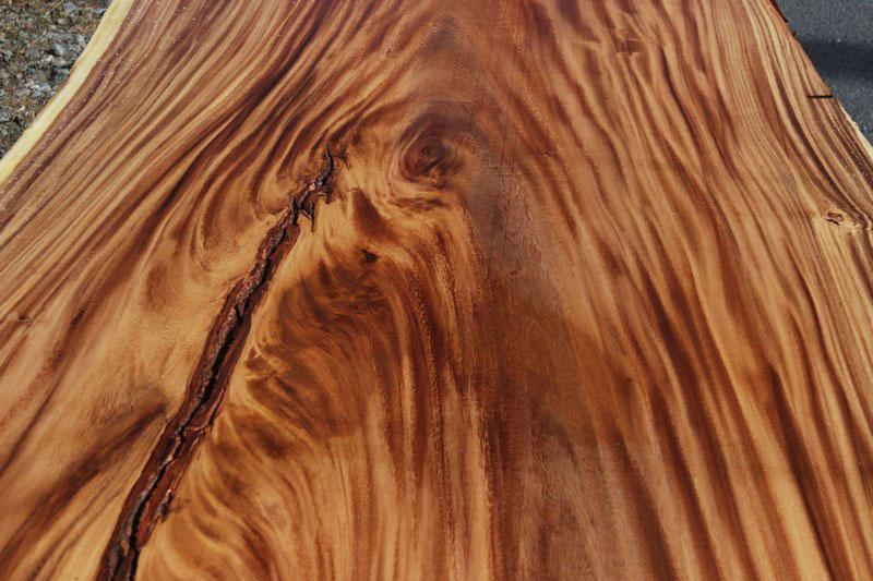 Monkeypod Crotchwood Slab