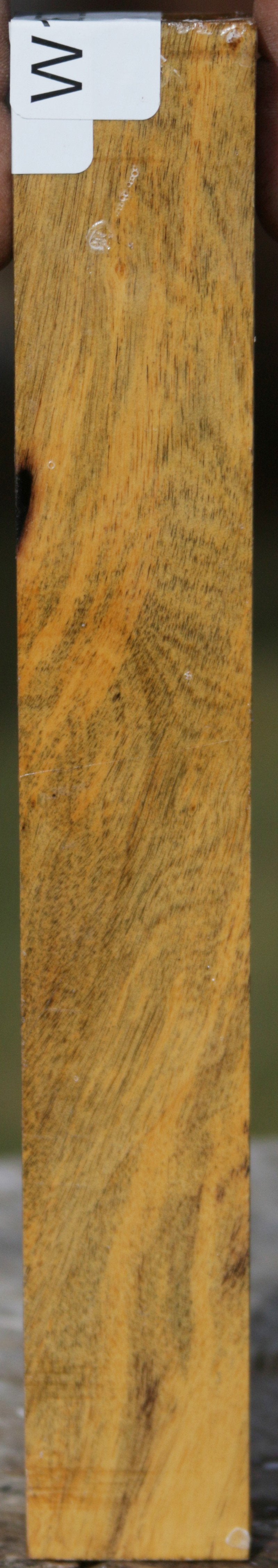 Black and White Ebony Turning Square