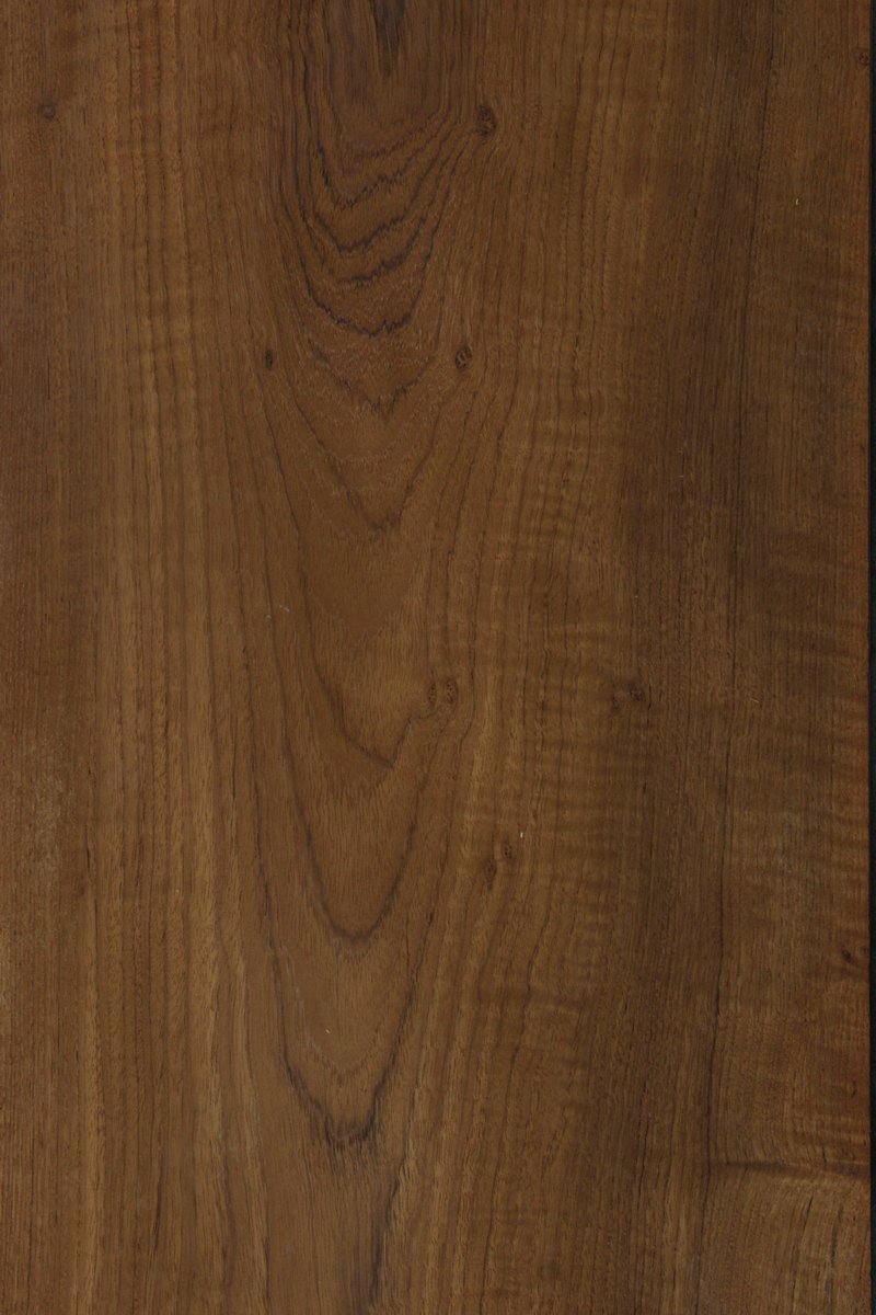 Fiddleback Burma Teak Veneer Flitch - 5 Sheets