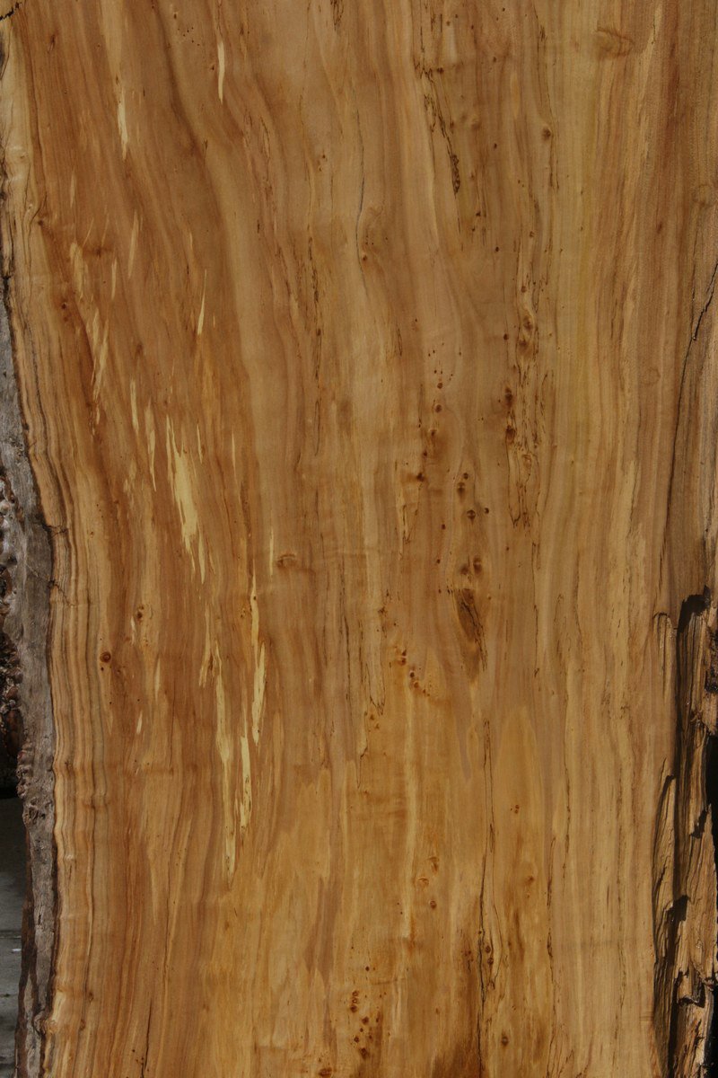 Figured Crotchwood Cottonwood Slab