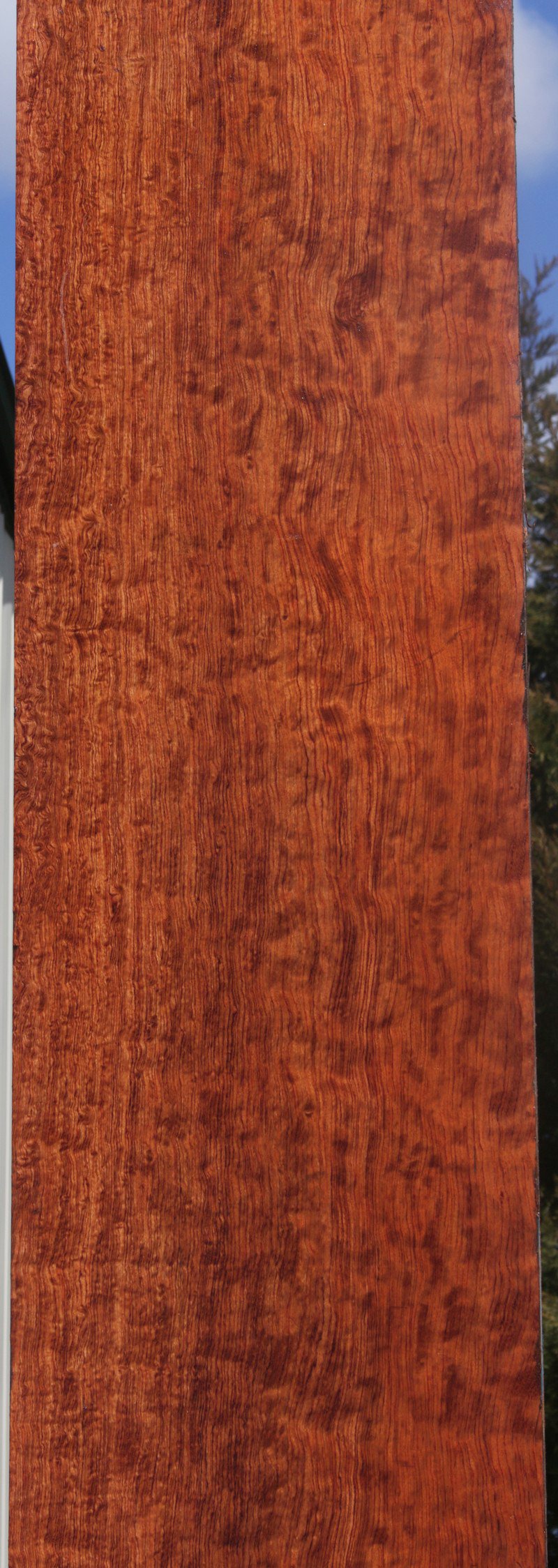 Bubinga Lumber