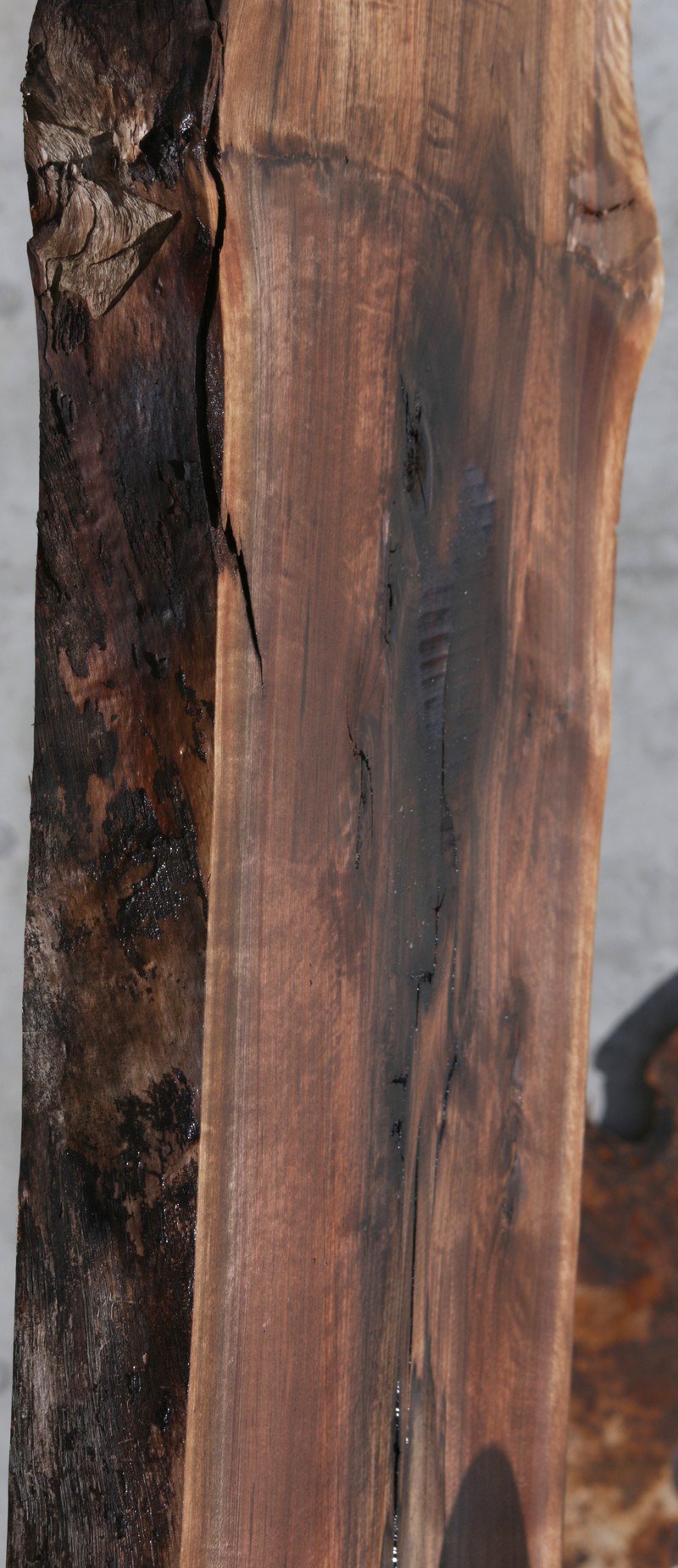 Rustic Grafted English/Claro Walnut Slab