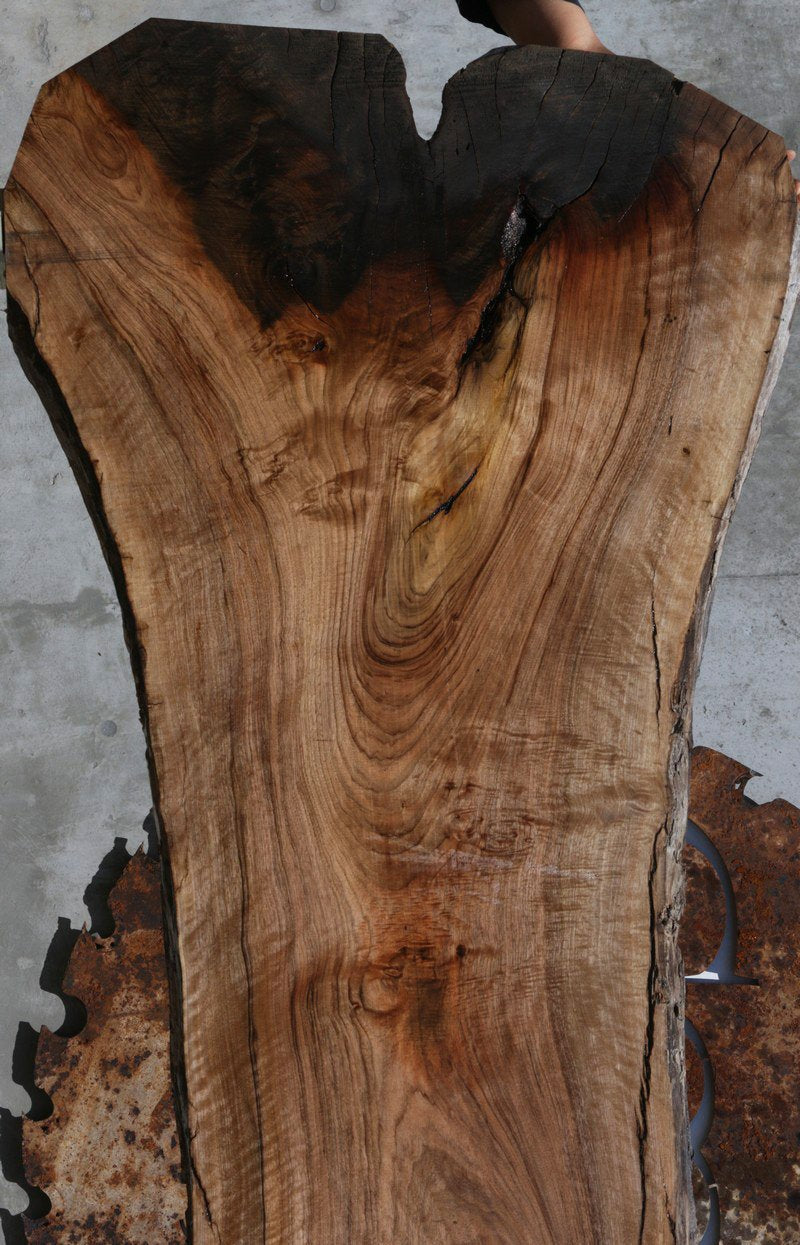 Rustic Grafted English/Claro Walnut Slab