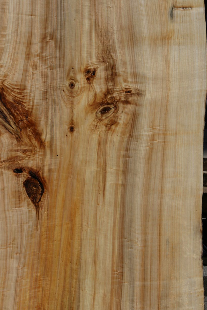 Figured Black Cottonwood Slab