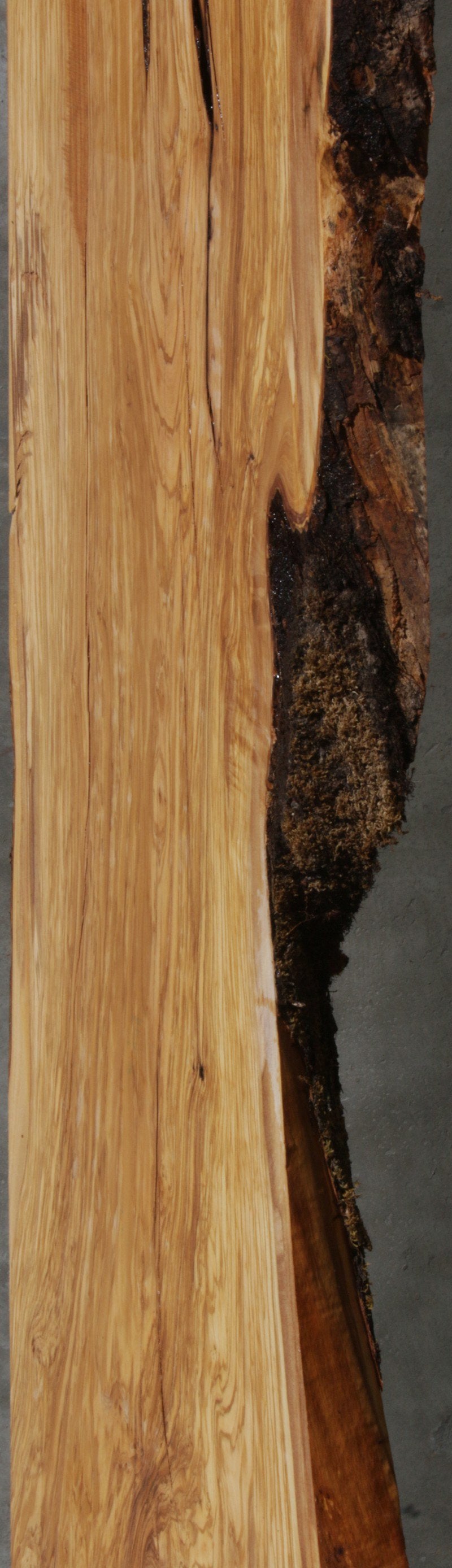 Roman Olive Slab