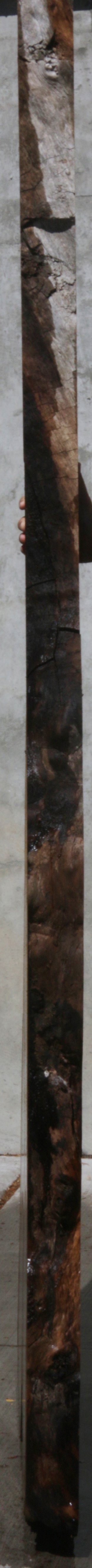 Claro Walnut Slab (Free Shipping Excluded)