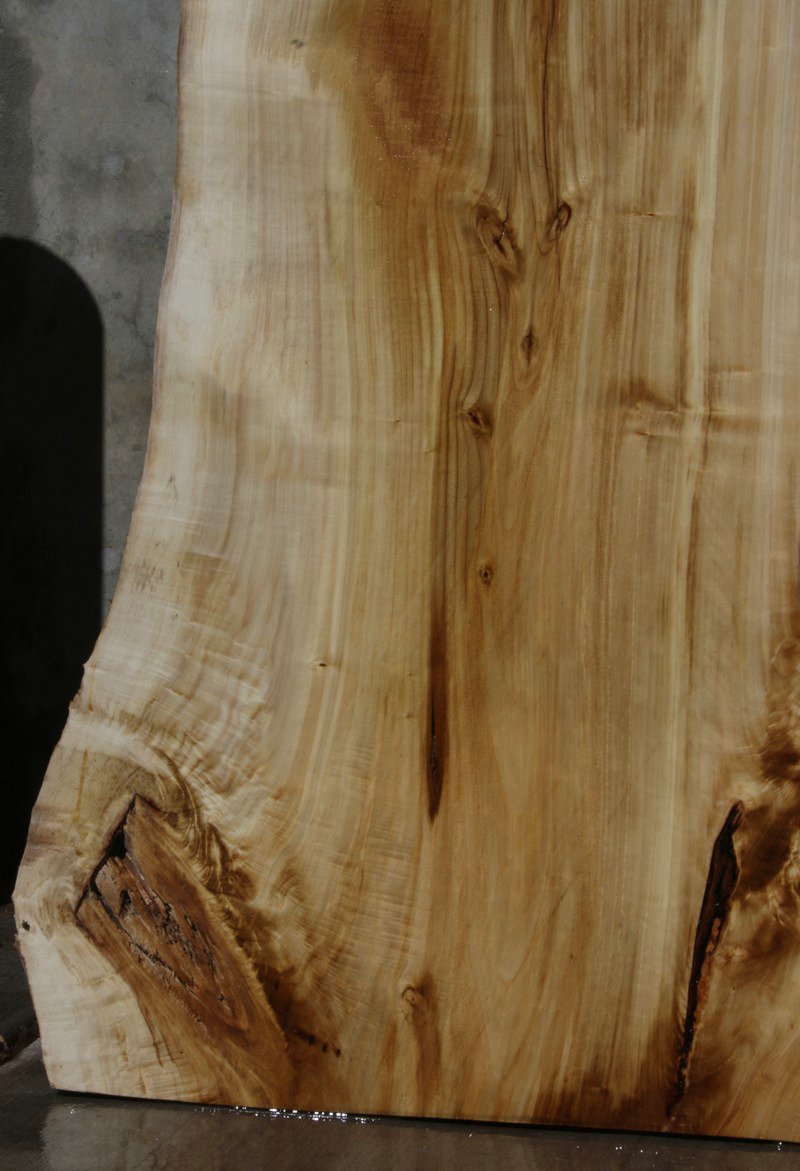 Black Cottonwood Slab