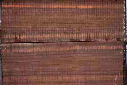 Gabon Ebony Baritone Ukulele Set