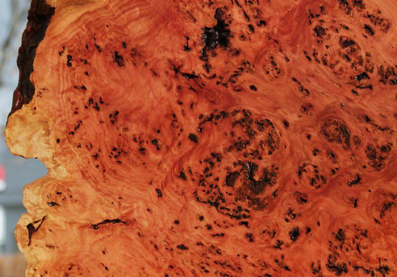Red Mallee Resin Burl Round Slab