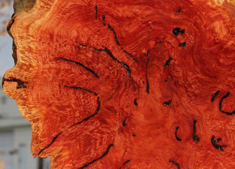 Red Mallee Resin Burl Round Slab