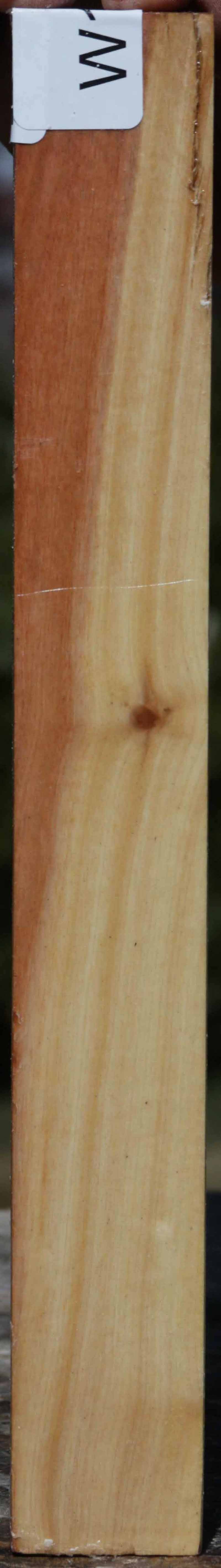Pink Ivory Turning Square